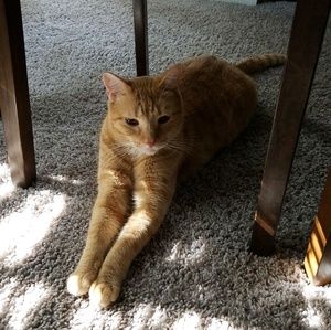 Meet your Posher, Dianette